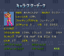 船木誠勝HYBRID WRESTLER 闘技伝承 - 「SFCのゲーム制覇しましょ